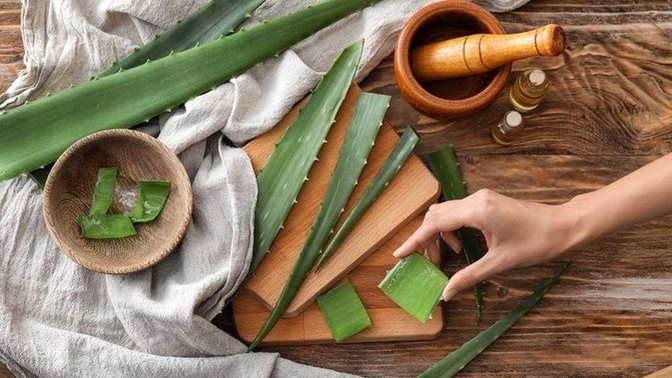Mucizevi Aloe Vera Bitkisinin Cilde ve Saça Faydaları!