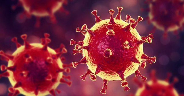 Tıp Bunu Söylüyor: Corona Virüs ile İlgili Yanlış Bilgiler ve Doğruları!
