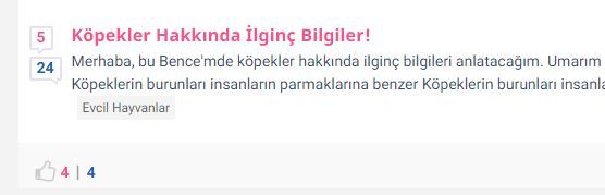 KSda Evcil Hayvanlar Fenomeni Nasıl Olunur? Evcil Hayvan Fenomeni Olmak İsteyenlere Nasıl Fenomen Olduğumu Anlatıyorum!