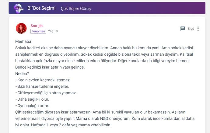 KSda Evcil Hayvanlar Fenomeni Nasıl Olunur? Evcil Hayvan Fenomeni Olmak İsteyenlere Nasıl Fenomen Olduğumu Anlatıyorum!