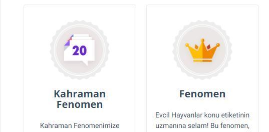 KSda Evcil Hayvanlar Fenomeni Nasıl Olunur? Evcil Hayvan Fenomeni Olmak İsteyenlere Nasıl Fenomen Olduğumu Anlatıyorum!