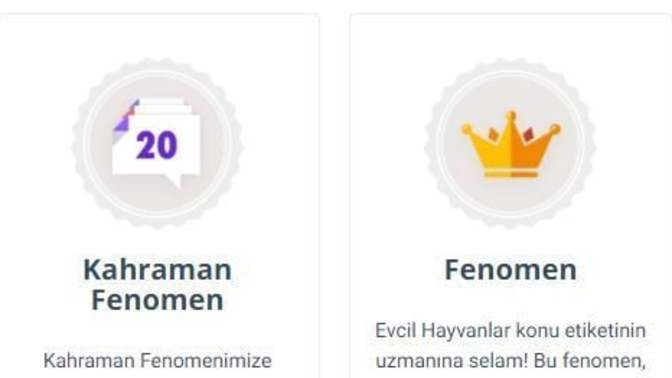 KS'da Evcil Hayvanlar Fenomeni Nasıl Olunur? Evcil Hayvan Fenomeni Olmak İsteyenlere Nasıl Fenomen Olduğumu Anlatıyorum!