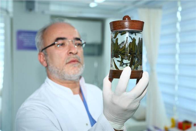 Sivilce ve Leke Problemleri Olanlar Toplansın: Sülük Tedavisi Sürecimi Anlatıyorum!