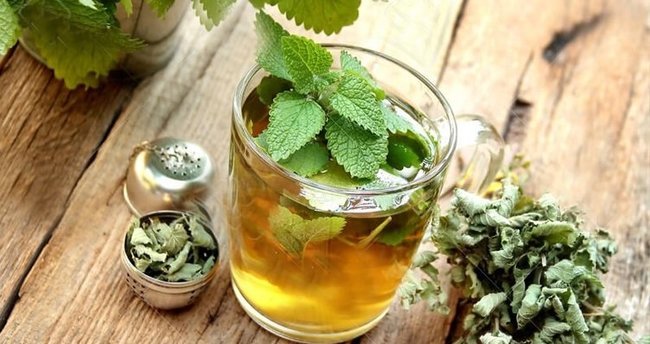 Sağlığımıza Dost Olacak ve İyi Gelecek Bitki Çayları! ☕