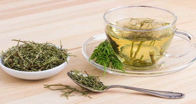 Sağlığımıza Dost Olacak ve İyi Gelecek Bitki Çayları! ☕