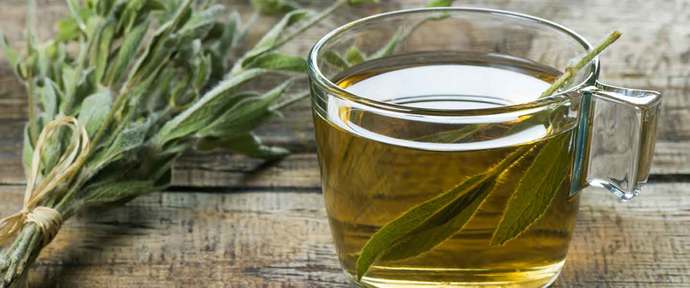 Sağlığımıza Dost Olacak ve İyi Gelecek Bitki Çayları! ☕
