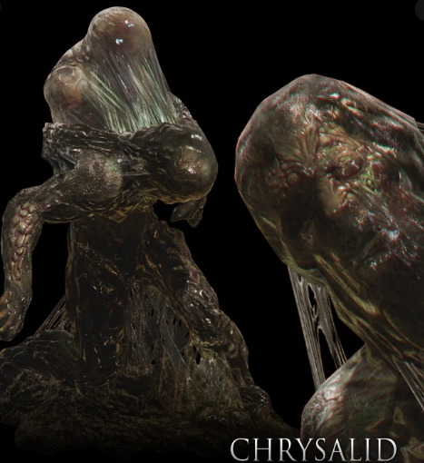 chrysalid