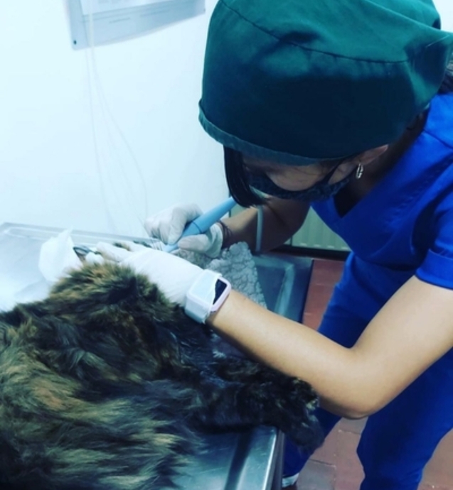 Veteriner Fakültesi Öğrencisi Günlüğü!
