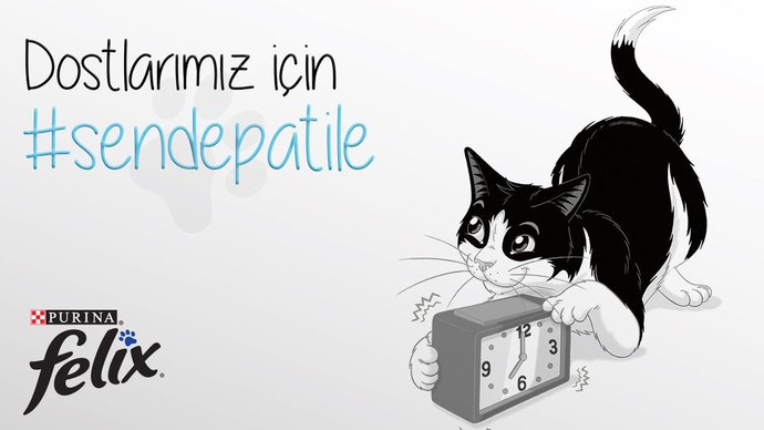 Paylaşımım Neden Kaldırıldı? İşte KizlarSoruyorda Paylaşım Kaldırılma Nedenleri!