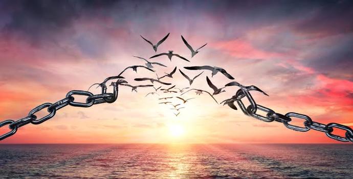 Affetmek Özgürlüktür! Affetmenin Sağlığınıza ve Hayatınıza Faydaları Nelerdir?