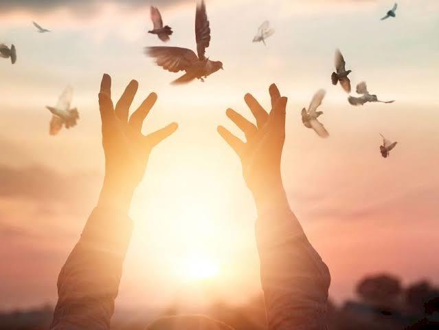 Affetmek Özgürlüktür! Affetmenin Sağlığınıza ve Hayatınıza Faydaları Nelerdir?