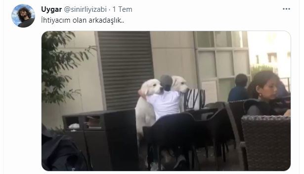 Haftanın En Eğlenceli Tweetleri