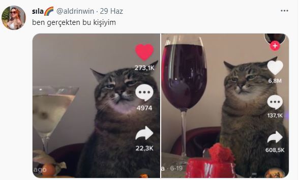Haftanın En Eğlenceli Tweetleri