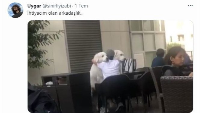 Haftanın En Eğlenceli Tweetleri