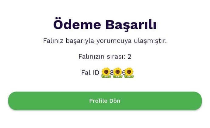 Falsepeti Çekilişini Kazandım: Gelin Beraber Falımı Okuyalım!