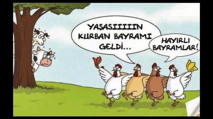 Tavuktan balıktan kurban olmaz.