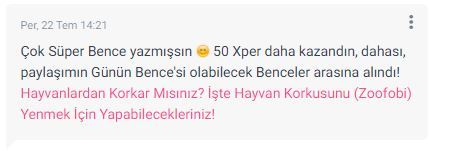 Bilgilerinizi KScanlara Aktarmaya Ne Dersiniz? Nasıl KS Editörü olduğumu Anlatıyorum!