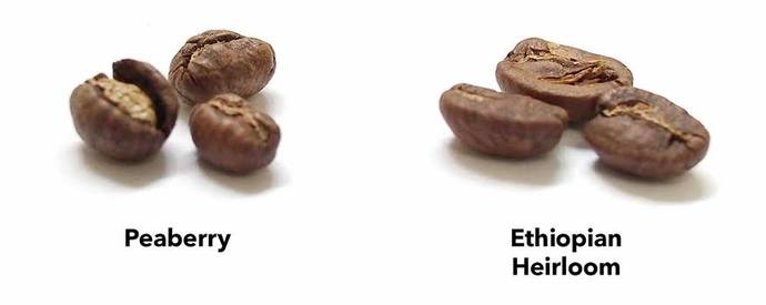 Keşke Bir Bilsen: Peaberrynin Hikayesi