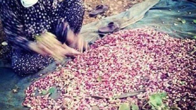 Gaziantep Mutfağı, Gaziantep'in Unutulmaz Tatları