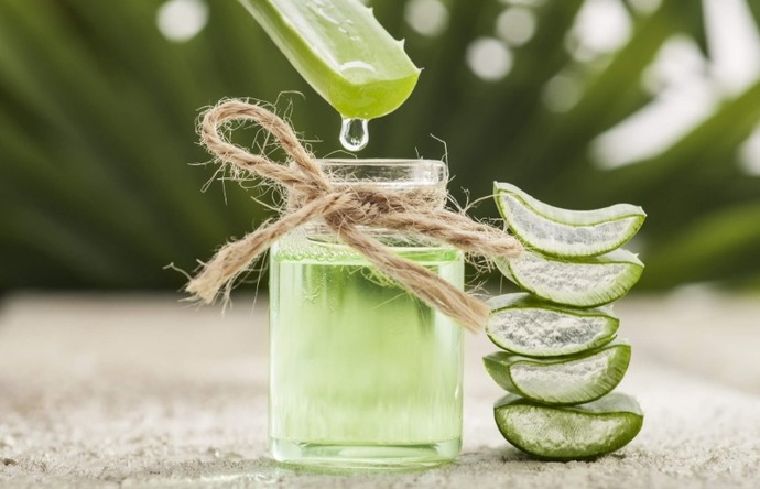Aloe Verayla Bakım Yapmaya Ne Dersiniz? İşte Aloe Veranın Cildimize Faydaları!