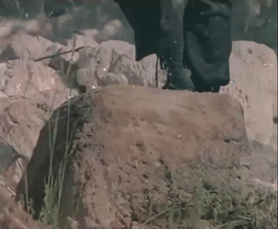 Kötü Filmleri Sevmemizin Ardında Yatan Sebepler Nelerdir?