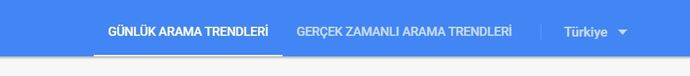 Ne Paylaşsam Derdine Düşme, Google Trends Seninle! Google Trends Nedir?