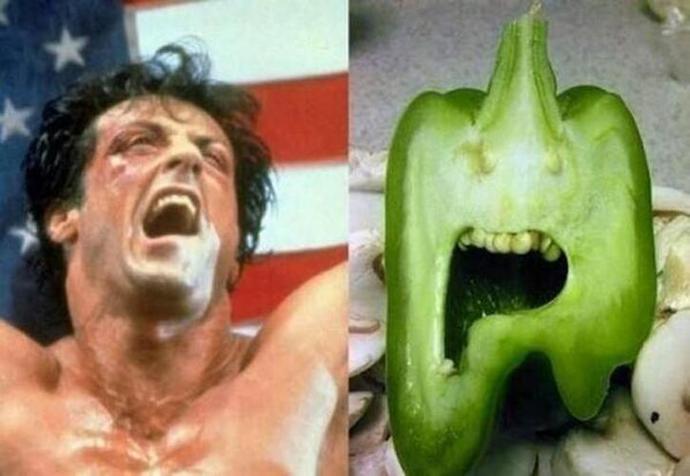 Afganistan Gündemine Rambolu Bir Bence: Geçmişin Işıltılı Günlerinden Bugüne Sylvester Stallone Hakkında 15 Şaşırtıcı Gerçek