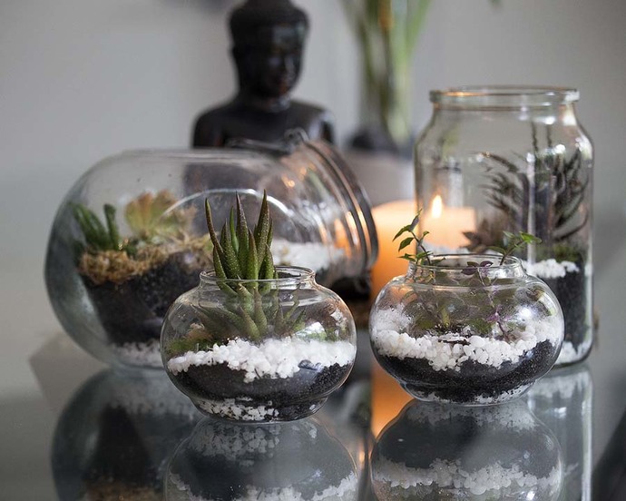 Evde Bitki Bakım Rehberi! 7 Maddede Evde Bitki Yetiştirmenin Püf Noktalarını Anlatıyorum 🌿
