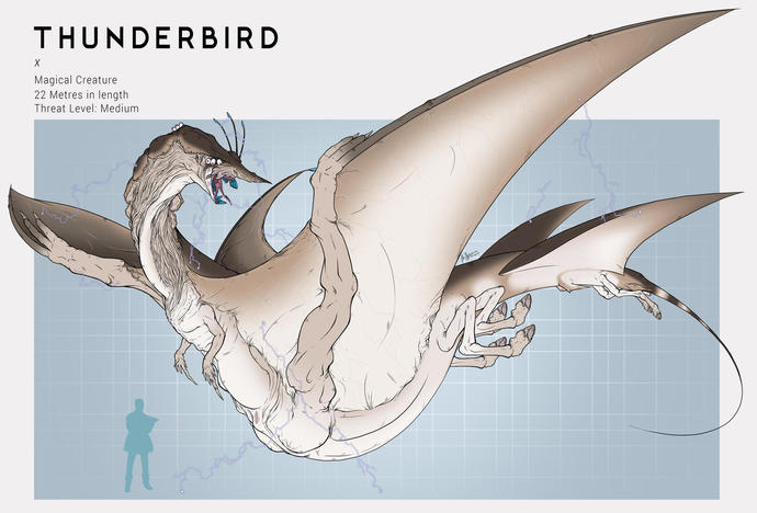 Thunderbird anatomisi