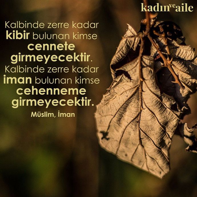 Kibir Ve Tedavisi! Kibir, Enaniyet, Ben Merkezcilik ve Müteveyhık Nedir?