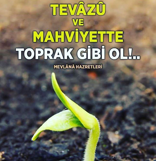 Tevazuda Örneklik ve Yeryüzünde En Mütevazi İnsan Hz. Muhammed Aleyhissalâtu Vesselâm!