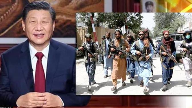 Çin Neden Taliban'a Destek Oluyor? Doğu Perinçek Neden Taliban'ı Övüyor? İşte Cevabı!