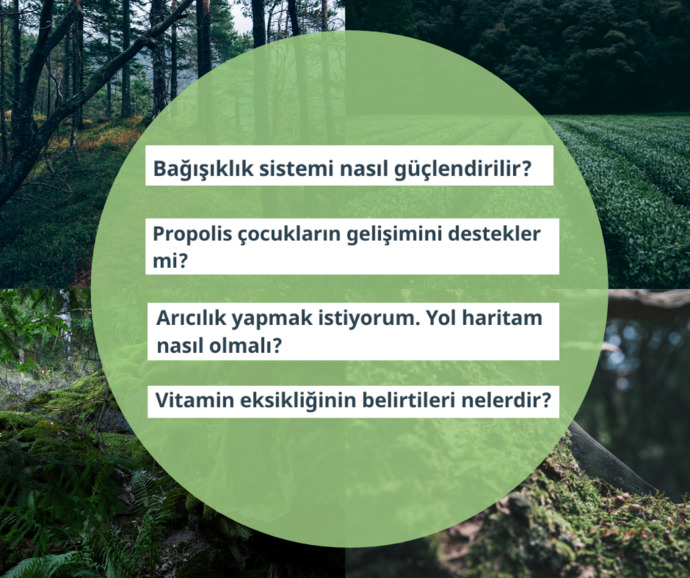 BiBilen Ekibimizi Tanıyoruz: Aslı Elif Samancı