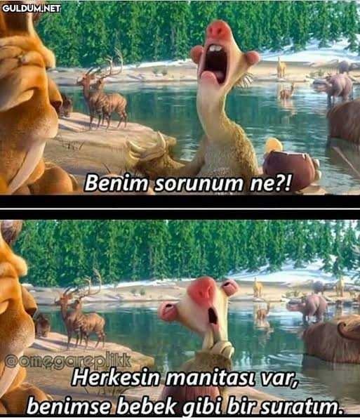 Evde Doğal Ürünlerle Yapabileceğiniz Yüz Kremi Tarifleri!