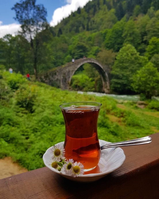 Bütün Tatil Planlarını Erteleyin Çamlıhemşine Gidiyoruz