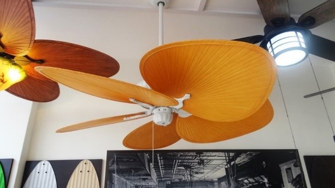 Bodrumun En Serin Yeri Hunter Vantilatör Mağazası!