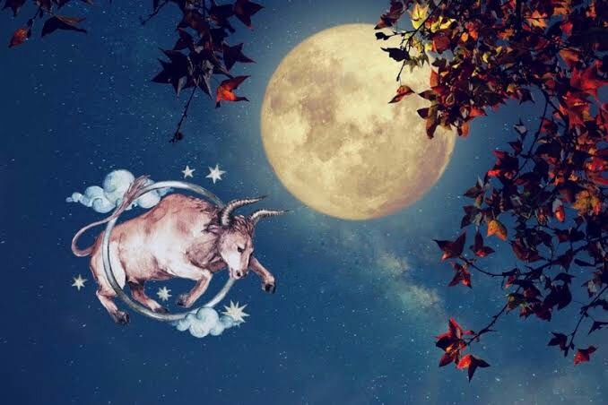 19 Kasım Ay Tutulmasının Burçlar Üzerine Etkileri 🌒