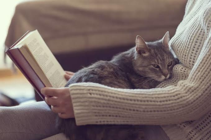 Sevimli Dostlarımızın Mucizesi: Kedi Mırlamasının Etkileri!