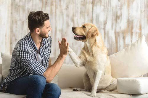 Pet Dilinde Bakım: Puffy Love! Peki Neden Puffy Love?