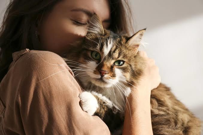 Pet Dilinde Bakım: Puffy Love! Peki Neden Puffy Love?