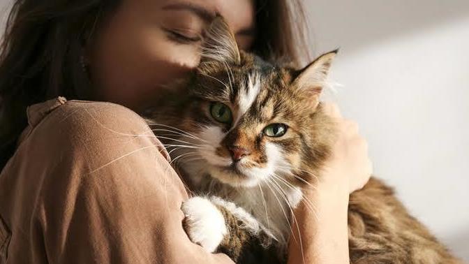Pet Dilinde Bakım: Puffy Love! Peki Neden Puffy Love?
