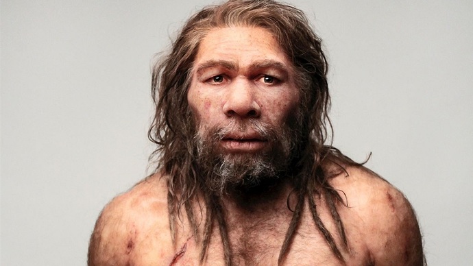 İlk Atalarımızı Tanıyalım: Primattan Homo Sapiense