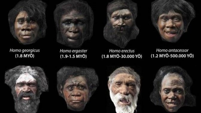 İlk Atalarımızı Tanıyalım: Primattan Homo Sapiens'e