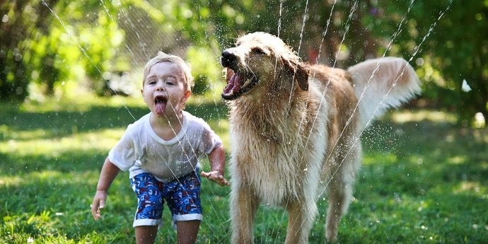 Evci̇l Hayvanların Sağlıklı Çocukların Yeti̇şti̇ri̇lmesi̇nde Olumlu Etki̇leri̇ Var Mı?
