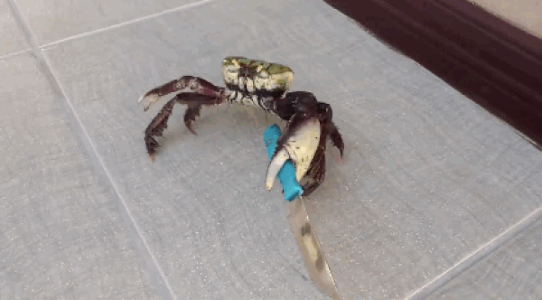 😅🦀