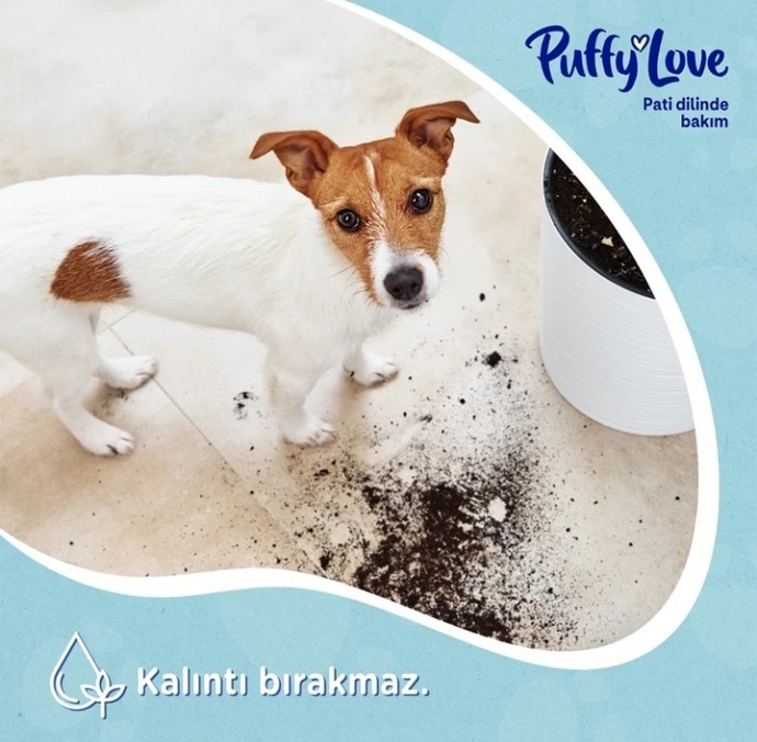Evimin En Büyük Kurtarıcısı Puffy Love İle Sende Tanışmalısın!