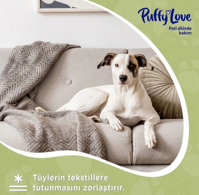 Evimin En Büyük Kurtarıcısı Puffy Love İle Sende Tanışmalısın!