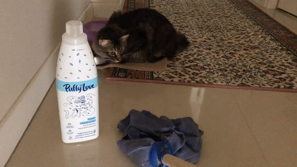 Temizlik Uğruna Evcil Dostlarımızın Rahatı Kaçmasın: Kedimden de Benden de Tam Puan Alan Puffy Love Ev Bakım Ürünleri ile Tanışın!