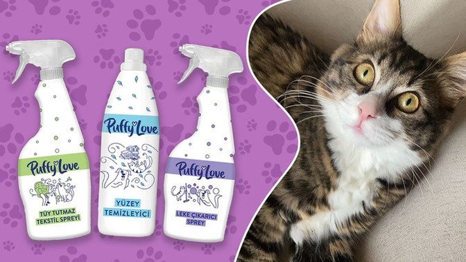 Gürbüz Tam Bir Canavar: Bir Puffy Love Macerası