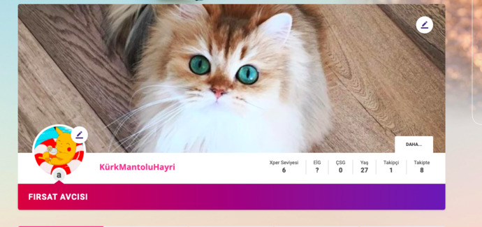 Fırsat Avcısı
